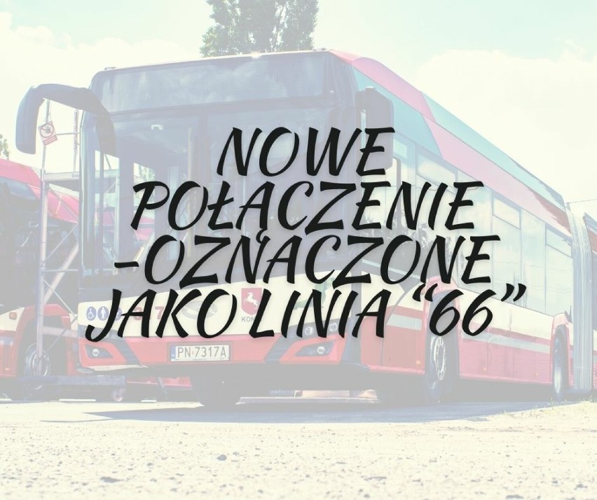 Nowa linia autobusowa w Koninie. Jak będzie kursować? Uczniowie z tego osiedla będą zadowoleni