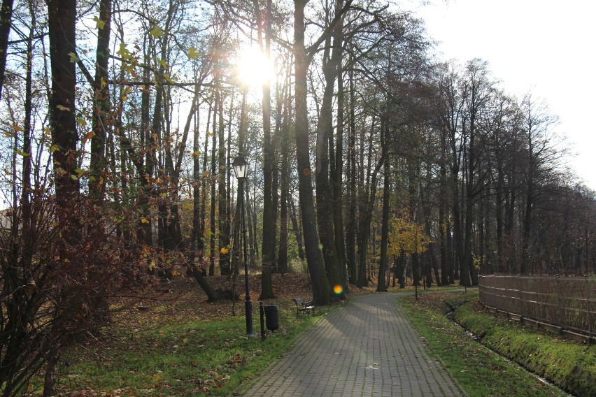 Jesień na Plantach w Mikołowie