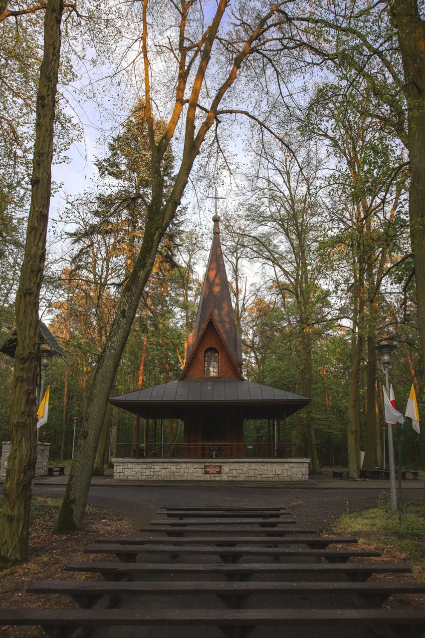 170. Rocznica Objawień Matki Bożej Licheńskiej