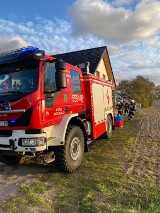 Silny wiatr dał się we znaki w powiecie wieluńskim.W akcjach brało udział 101 strażaków