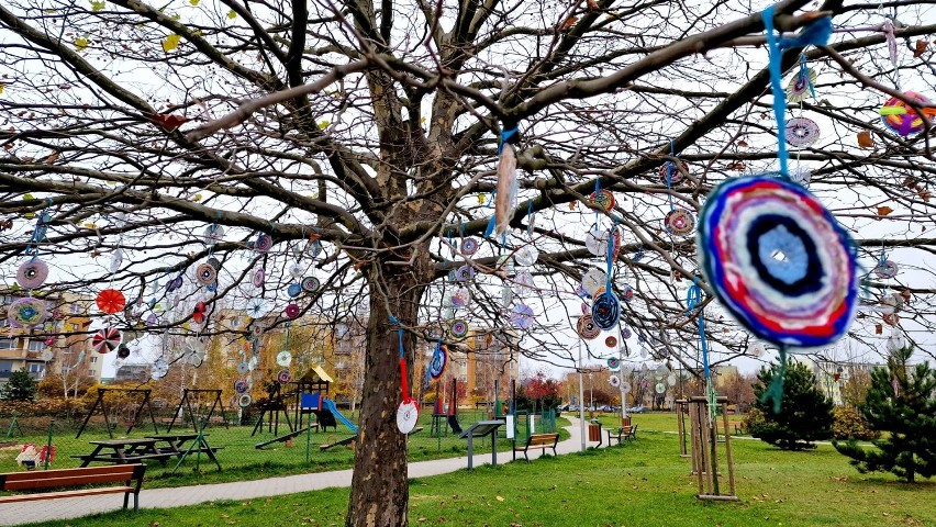 Kolorowe drzewo w Sieradzu. Koniecznie zobaczcie ZDJĘCIA