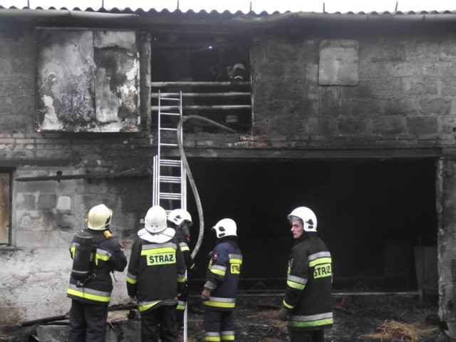 W niedzielę 11 stycznia 2015 roku około godziny 13.15 wybuchł pożar w kurniku jednego z gospodarstw w Nowej Wsi Zbąskiej. Rolnik dogrzewał zwierzęta butlami gazowymi, na których zamontowane były promienniki. W budynku znajdowała się słoma i siano. 

Zobacz więcej: Pożar kurników w Nowej Wsi Zbąskiej [ZDJĘCIA]