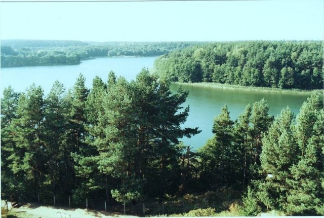 Jezioro w Raciążu jest piękne. Kto tu trafi, potrafi je docenić
