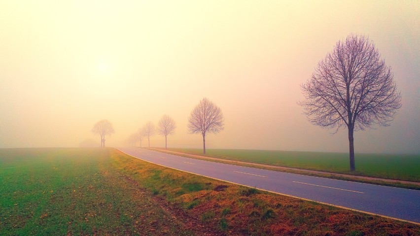 W województwie lubuskim mogą wystąpić gęste mgły