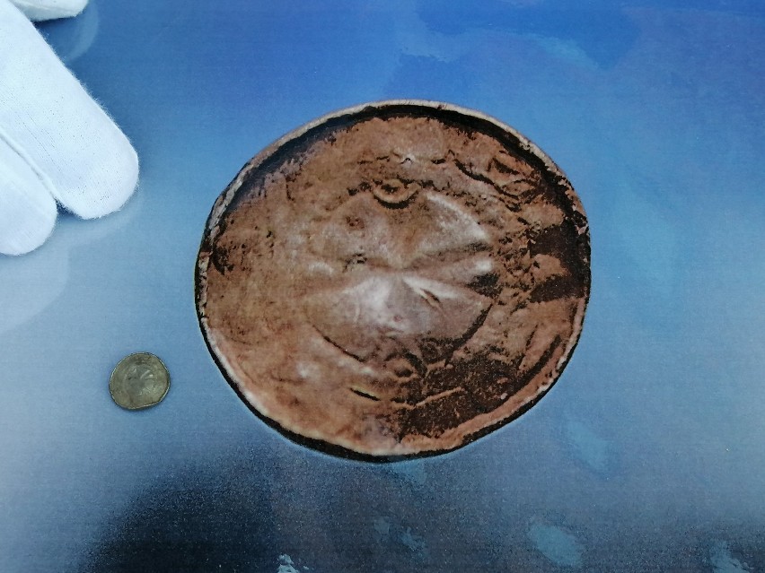 Poszukiwacze z Grupy Parsęta znaleźli w Budzistowie monety sprzed tysiąca lat