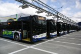 Rekreacyjne autobusy z Krakowa mają jeździć już na majówkę! Cztery linie, m.in. do Ojcowa i puszczy Niepołomickiej