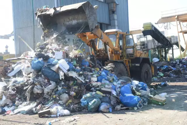Wysypisko w Raculi, tu trafiają nasze śmieci. Co roku produkujemy ich coraz więcej