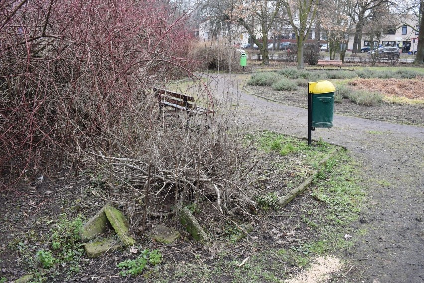 Park w centrum miasta straszy swoim wyglądem od lat, ale...