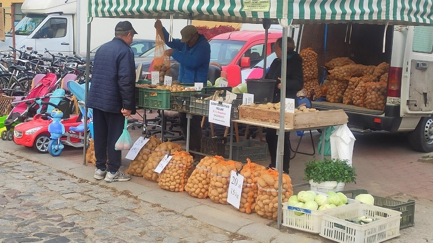 Targ w Żarach- Na stoiskach króluje kapusta i ziemniaki.