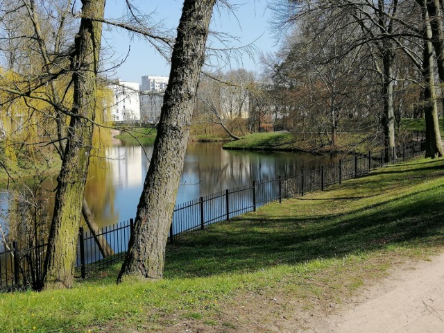 Jeden z projektów, który już przeszedł pozytywnie weryfikację, 
 nosi tytuł: Bezpieczna strefa relaksu w parku im. J.H. Dąbrowskiego
