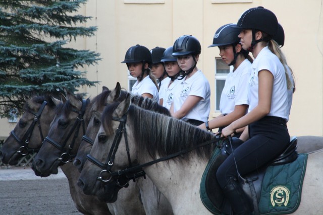 Po dwóch latach konie i koniki powróciły do Sierakowa w ramach Tarpaniady (26/27.08.2022r.)