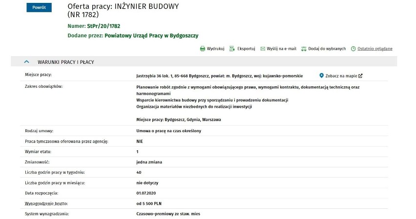 Oferty pracy powyżej 5 tysięcy złotych w regionie. Toruń, Bydgoszcz, Świecie