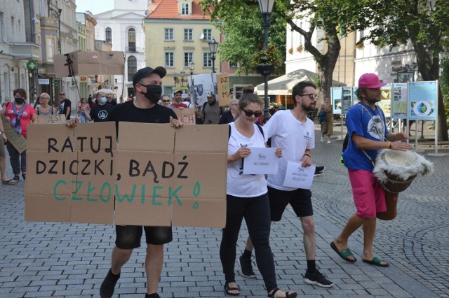 Protest w obronie dzików w Zielonej Górze