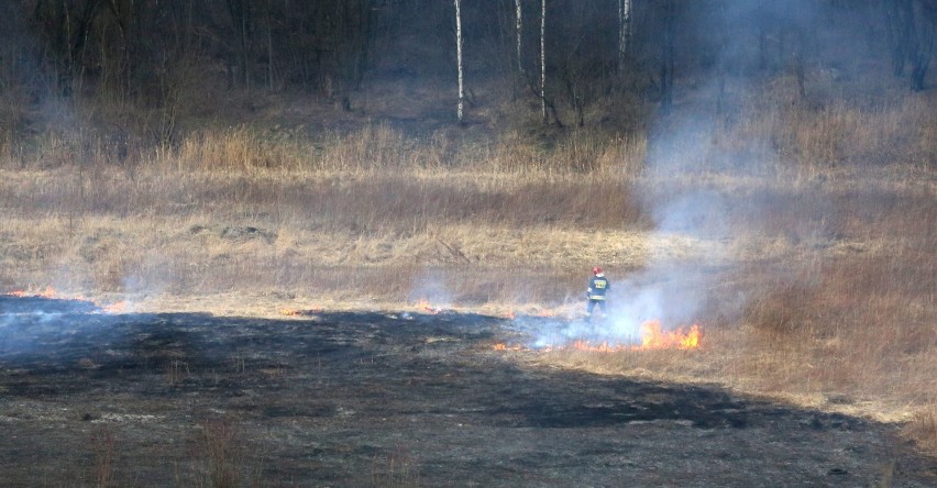 Pożar w Sosnowcu. Podpalacze nie próżnują. Podpalili nieużytki w Milowicach