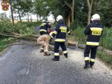 Kolejna interwencja strażaków z Sokołowic          