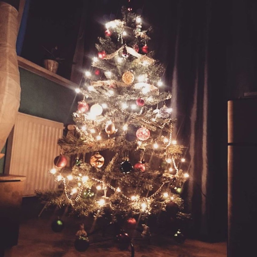 Drzewka świąteczne w naszych domach. Choinka Anety