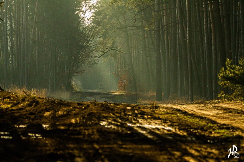 Klimatyczny Taczanów na zdjęciach Jacka Piotrowskiego