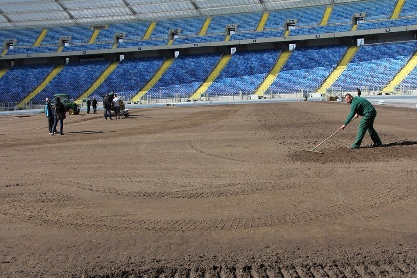 Nowa murawa na Stadionie Śląskim