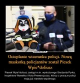 Policja - przyjaciel czy wróg? Internauci nie mają wątpliwości. Zobaczcie MEMY