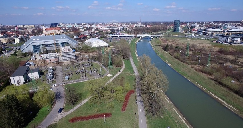 W poniedziałek i wtorek drugi etap walki z kleszczami i komarami w Rzeszowie