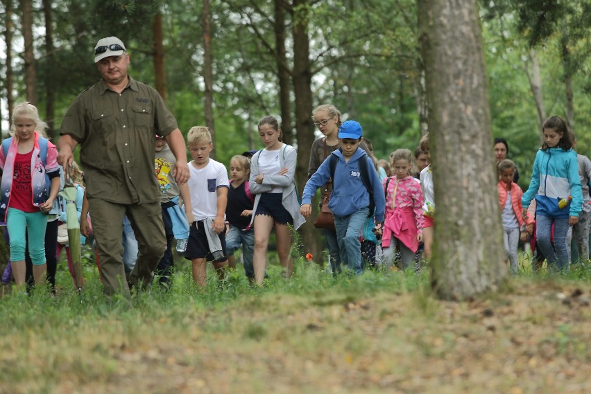 "Kolorowa Lokomotywa" zabrała dzieci z Wielunia do parku krajobrazowego [FOTO]