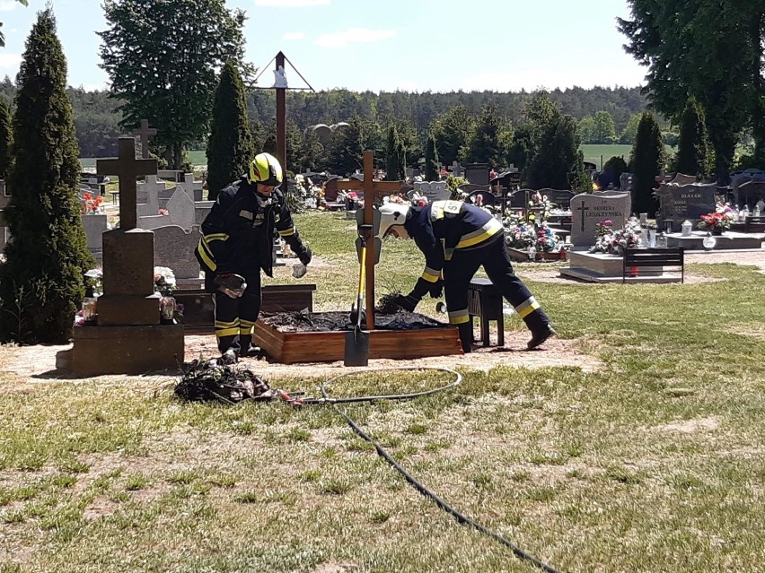 Pożar na cmentarzu w Rzeczycy w gminie Grębocice