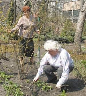 Bożena Rychlewska (od lewej) i Teresa Łaska z ogródków &amp;#8222;Sielanka&amp;#8221; w centrum Łodzi mogą stracić swoje działki, o które zabiegają spadkobiercy z Izraela. Fot. Grzegorz Gałasiński