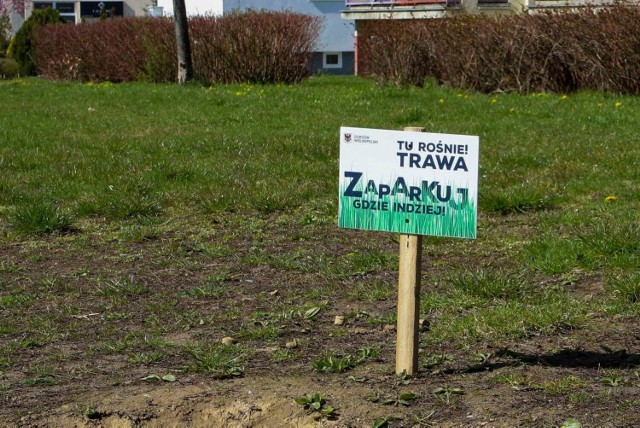 Na trawnikach i pasach zieleni w Gorzowie pojawiły się nietypowe tabliczki.