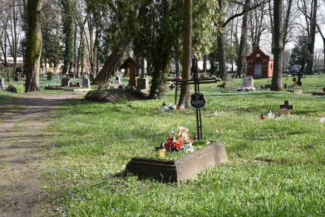 Stowarzyszenie zaprasza w środę o godz. 17.00 do biblioteki miejskiej w Międzyrzeczu na wykład o zabytkach przyrody. W następną niedzielę, 13 kwietnia, o godz. 10.00 jego działacze będą porządkować dawny cmentarz ewangelicki przy ul. Zbąszyńskiej w Trzcielu, natomiast 9 maja o godz. 16.00 organizują w Centrum Kultury w Trzcielu wykład o granicy polsko-niemieckiej w latach 1918-2018.