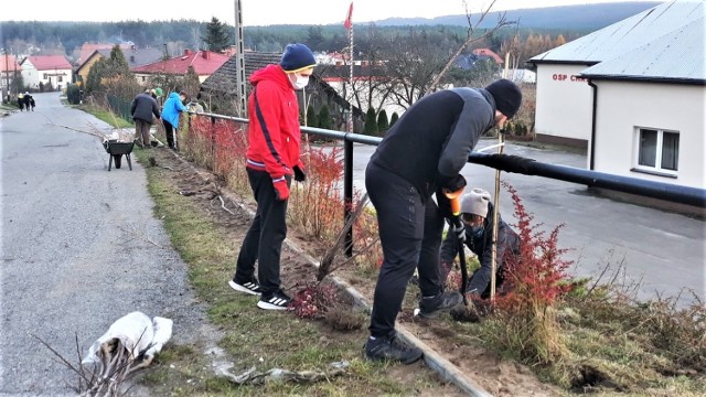 Mieszkańcy Chrząstowic podczas akcji sadzenia ozdobnych drzew i krzewów