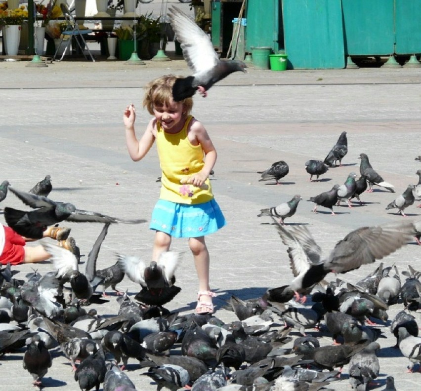 Sporo radości z zabawy z ptakami mają najmłodsi