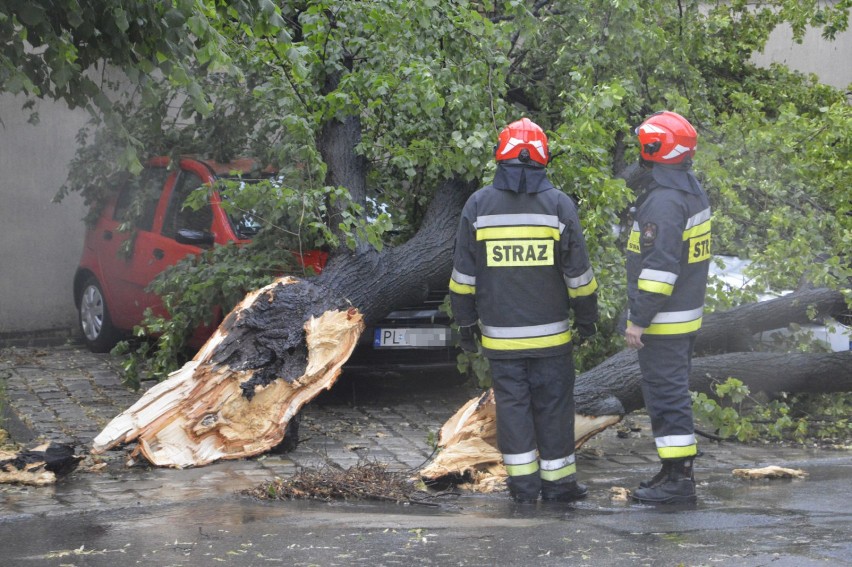 Burza nad Głogowem. Drzewo spadło na mur więzienia i samochody. ZDJĘCIA