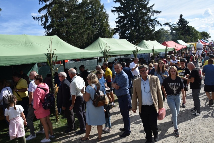 Dożynki 2022 gminy Ciechocin zorganizowano na placu przy...