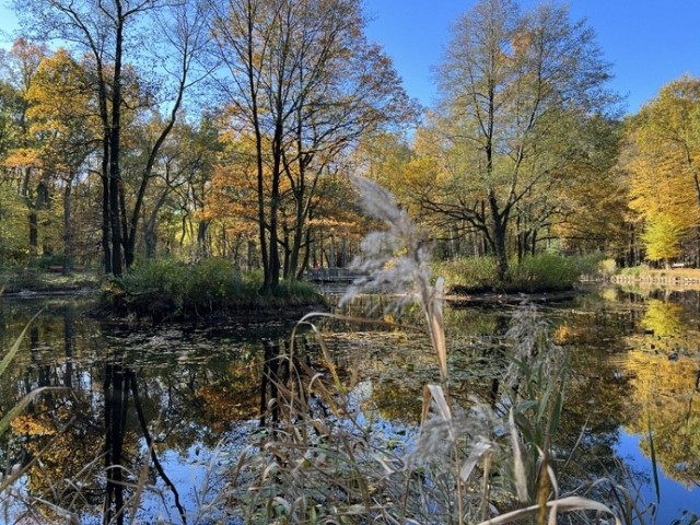 Park Zielona w Dąbrowie Górniczej w jesiennych kolorach

Zobacz kolejne zdjęcia/plansze. Przesuwaj zdjęcia w prawo naciśnij strzałkę lub przycisk NASTĘPNE