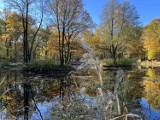 Park Zielona w Dąbrowie Górniczej jesienią wygląda wyjątkowo. Mieni się kolorami i nadal zachęca do odwiedzin