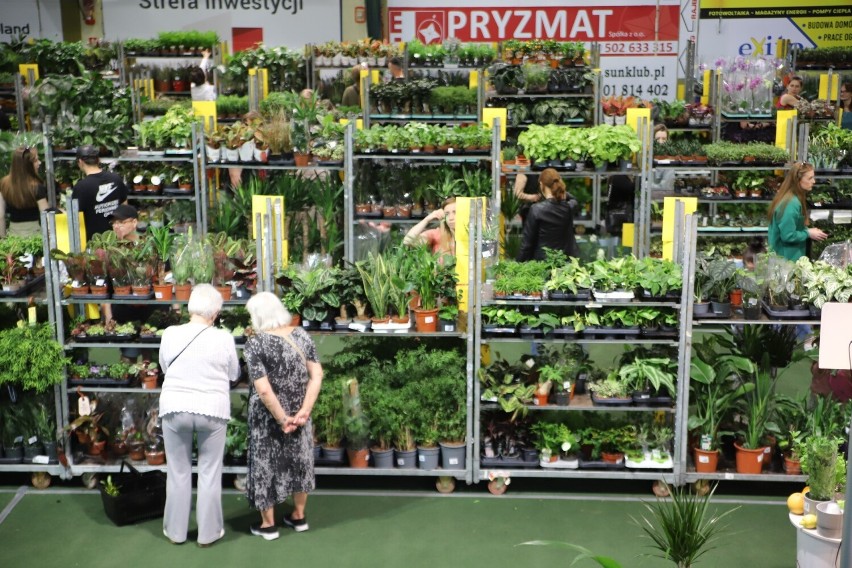 Tłumy mieszkańców odwiedzają Festiwal Roślin w Gorzowie.