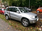 Nowi "mistrzowie" parkowania w Katowicach. Nie oszczędzają drzew i zieleńców