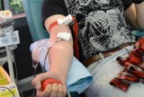 Krew ozdrowieńców pilnie poszukiwana! Ich osocze to drogocenny lek na koronawirusa