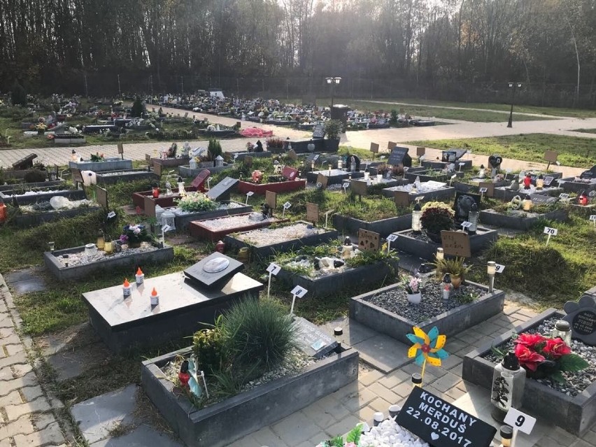 W Miechowicach znajduje się cmentarz dla zwierząt. Co...