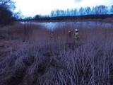 Gmina Stolno. Strażacy z OSP Rybieniec uratowali sarnę, która wpadła do wody. Zdjęcia