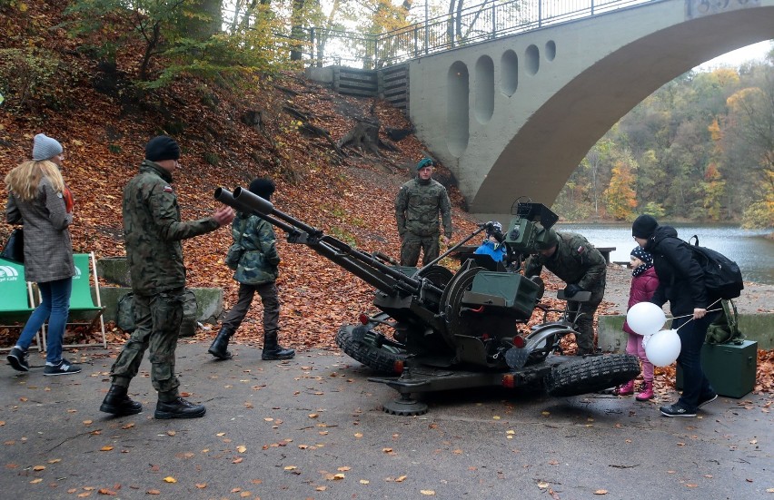 Niepodległą mamy we krwi! Piknik połączony z akcją...