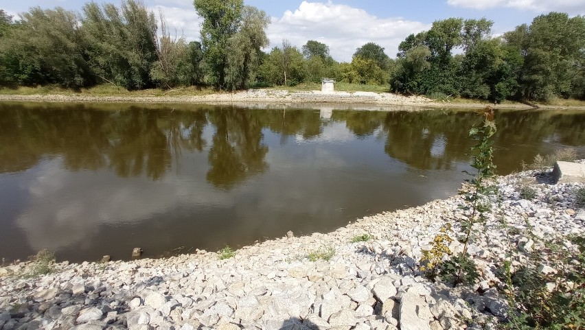 Wody Polskie ostrzegają przed kontaktem z wodą w Odrze do...