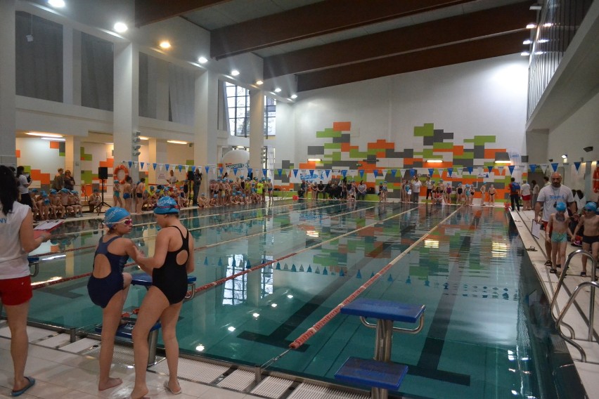 Sosnowiec: dzieci wzięły udział w maratonie pływackim ZDJĘCIA
