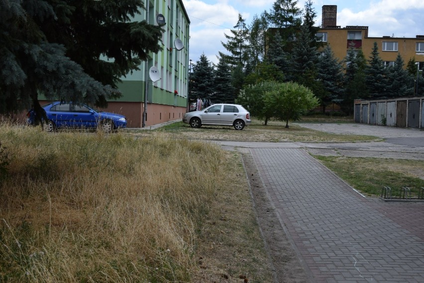 Chaszcze na osiedlu przy ulicy Piastowskiej w Międzyrzeczu