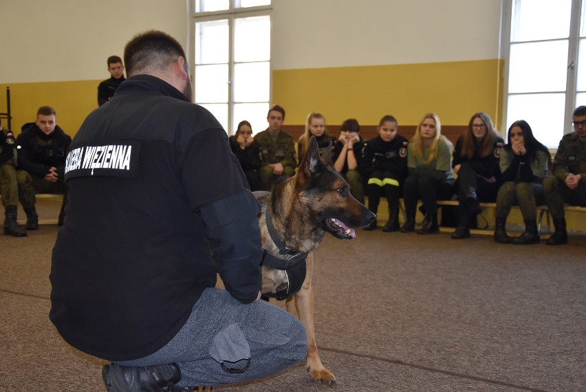 Nietypowa lekcja z przewodnikiem psa w gnieźnieńskiej Szkole...