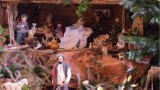 Szopka bożonarodzeniowa 2020 w Klasztorze Sióstr Bernardynek w Wieluniu ZDJĘCIA, FILM