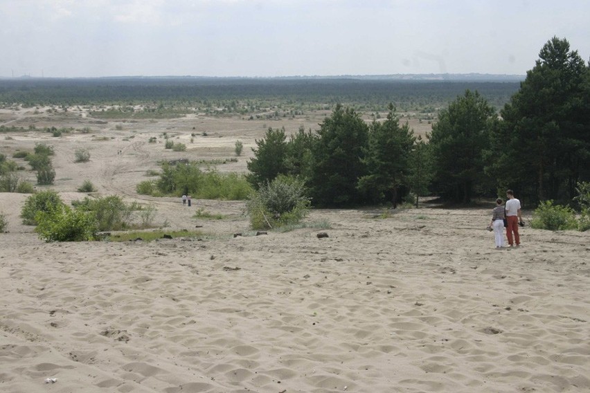 Pustynia Błędowska zamknięta do grudnia 2013 roku