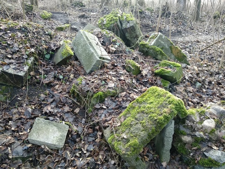 Żydowski cmentarz w Pyrzycach. Nie każdy zna jego historię [ZDJĘCIA] 