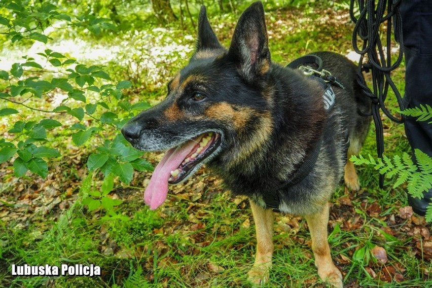 Oskar „służył” w policji blisko 10 lat. Na swoim koncie ma...