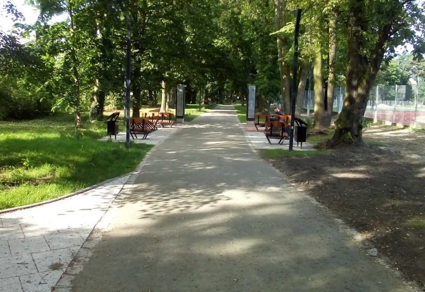 Park Miejski w Malborku po rewitalizacji [ZDJĘCIA]. Ścieżka, hotele dla owadów i kwietne łąki